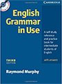 English Grammar in Use