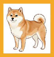 いぬ